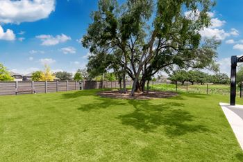 Dog park